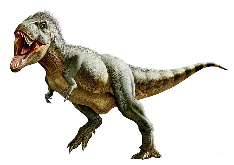 Cute Tyrannosaurus