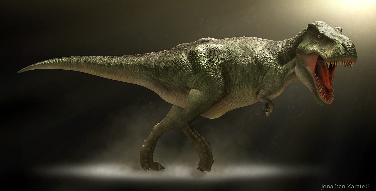 Wallpaper Tyrannosaurus