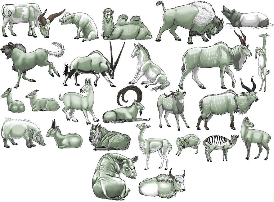 Ungulate- Photo#08