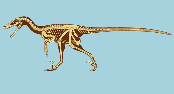 Cool Velociraptor