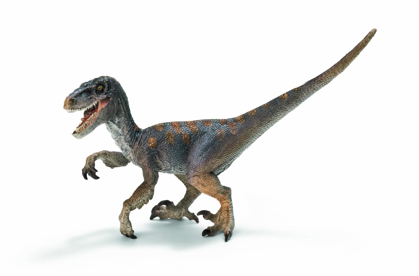 Cute Velociraptor